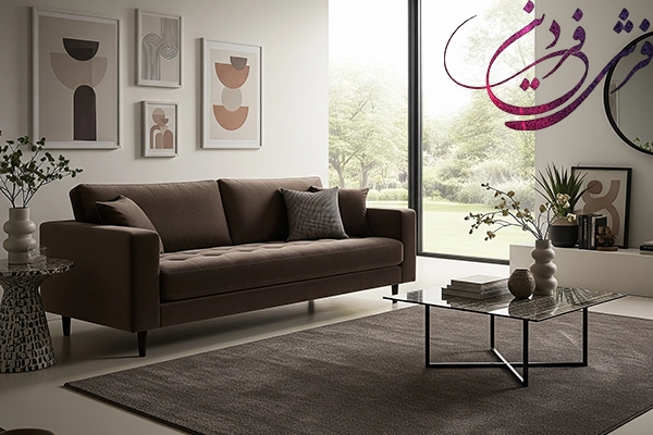 Setting up sofas and carpets